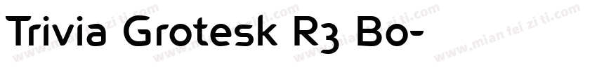 Trivia Grotesk R3 Bo字体转换